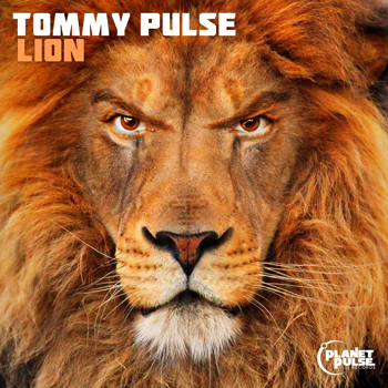 Tommy Pulse - Lion